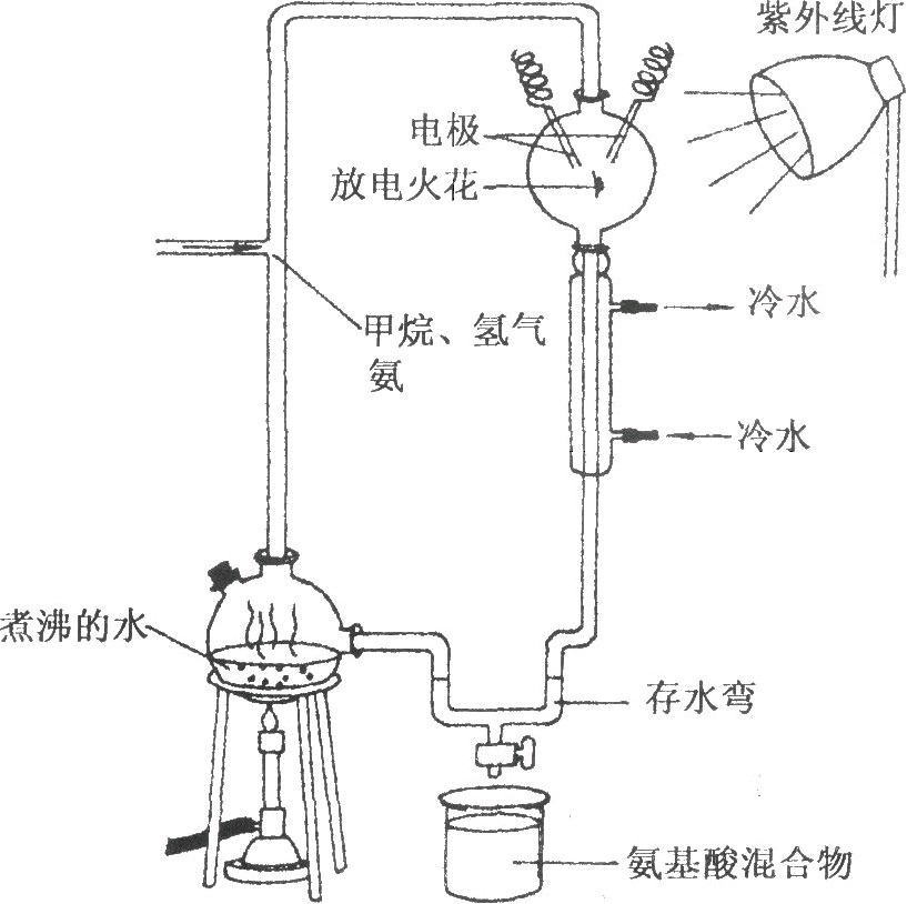 请根据右图回答下列问题: ?(1)米勒实验属于? ?